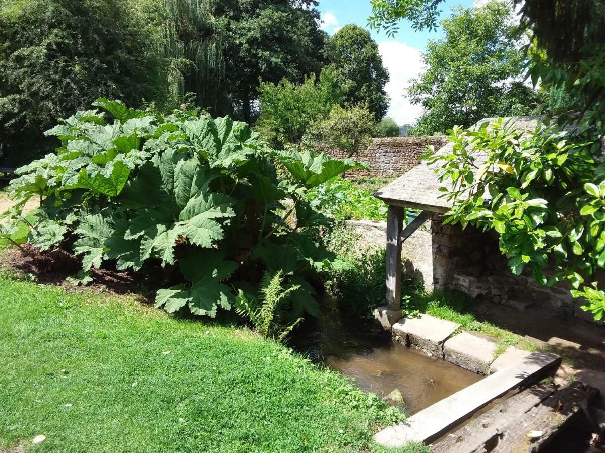 L'Orchidee Villa Lassay-les-Chateaux Kültér fotó